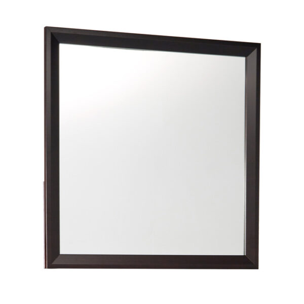 2145-6 Mirror