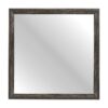 2145NP-6 Mirror