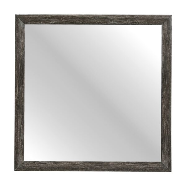 2145NP-6 Mirror