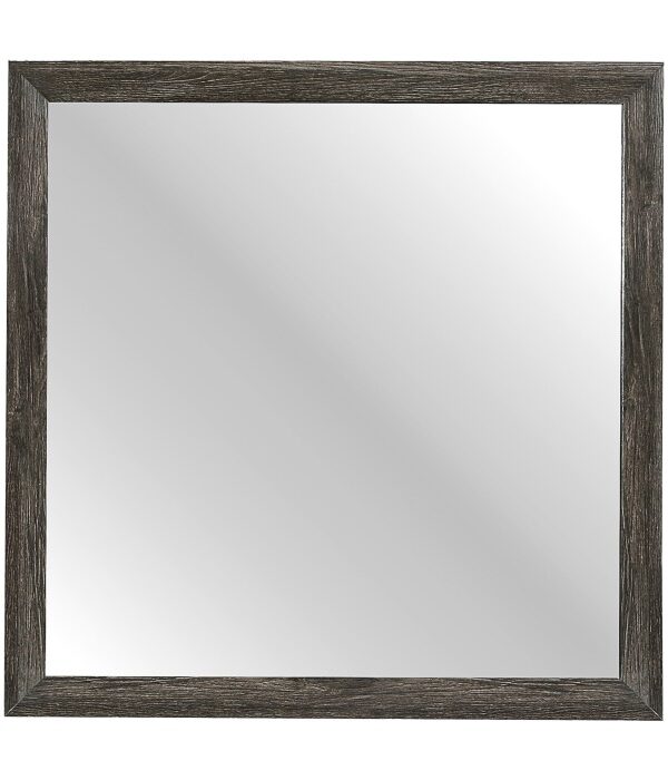 2145NP-6 Mirror