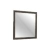 2145NP-6 Mirror