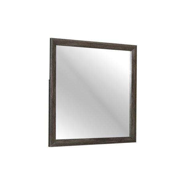 2145NP-6 Mirror