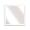 2147W-6 Mirror