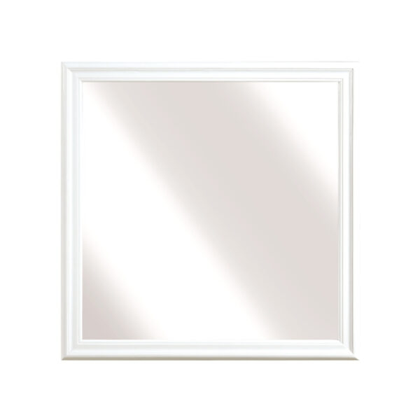 2147W-6 Mirror