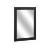 2220-6 Mirror