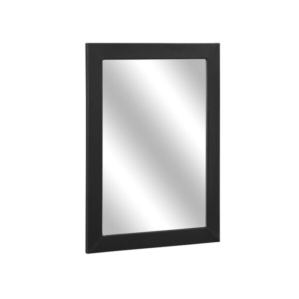 2220-6 Mirror