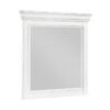 2322-6 Mirror