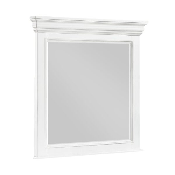2322-6 Mirror