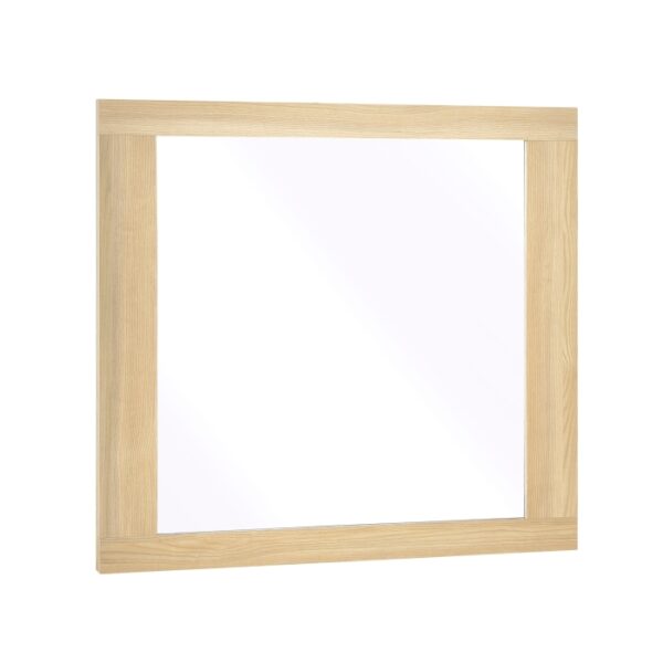 2330-6 Mirror