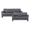 9279BGY Seating-Thierry Collection 2pc Set: Sofa, Love