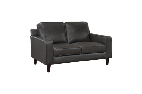 9294GRY Seating-Aldrich Collection 2pc Set: Sofa, Love