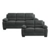 9333DG Seating-Holleman Collection 2pc Set: Sofa, Love