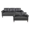 9690DGY Seating-Hector Collection 2pc Set: Sofa, Love
