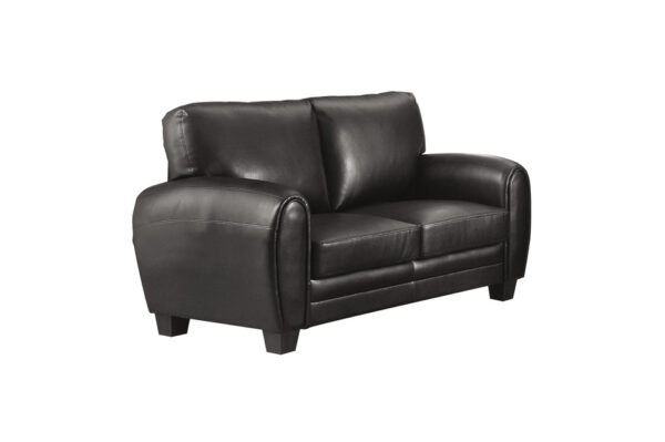 9734BK Seating-Rubin Collection 2pc Set: Sofa, Love