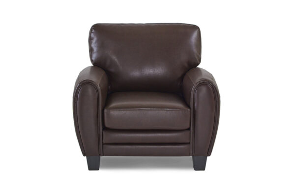 9734DB Seating-Rubin Collection 2pc Set: Sofa, Love