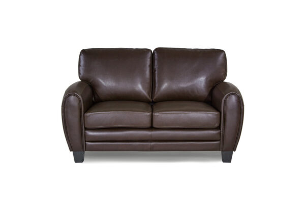 9734DB Seating-Rubin Collection 2pc Set: Sofa, Love