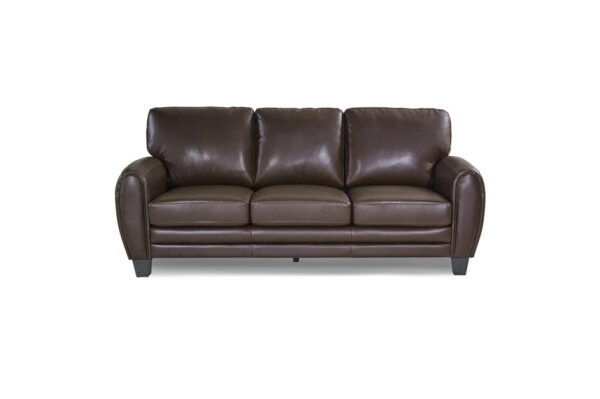 9734DB Seating-Rubin Collection 2pc Set: Sofa, Love