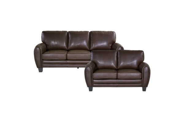 9734DB Seating-Rubin Collection 2pc Set: Sofa, Love