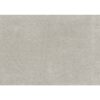 9816SN*2LCRL 2-Piece Sectional with Left ...