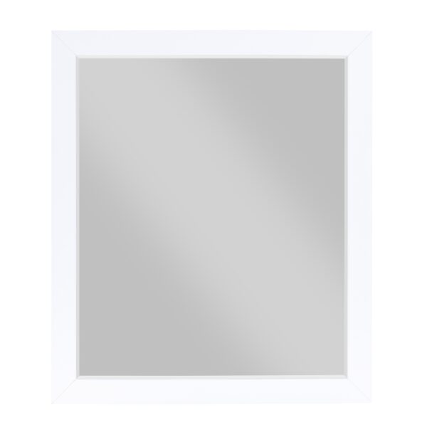 B2012-6 Mirror