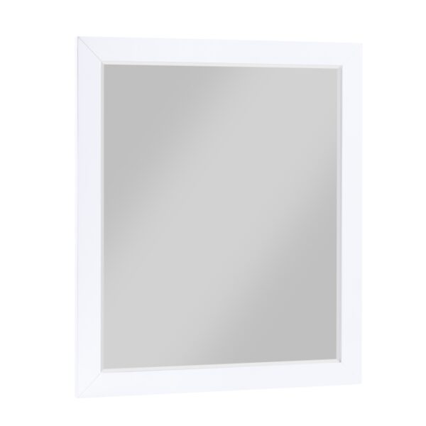 B2012-6 Mirror