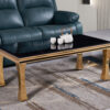 Gandhi Gold/Black Coffee Table