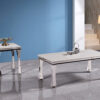 Gandhi Silver/White End Table