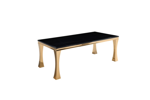 Gandhi Gold/Black Coffee Table
