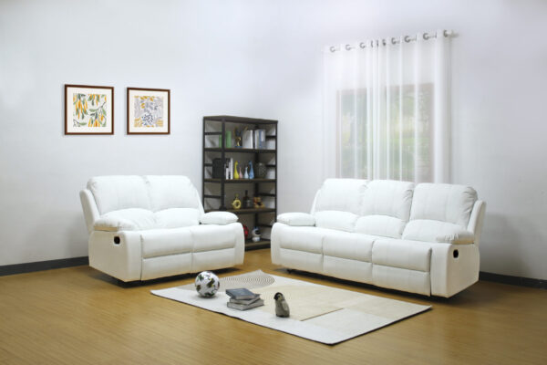 Wesley Chapel White Sofa + Loveseat Set