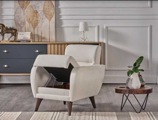 CHAIR IN A BOX-FLEXY W/STORAGE (ZIGANA BEIGE)