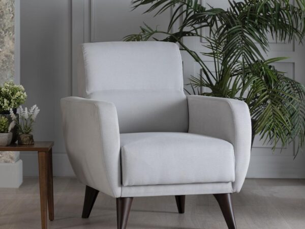 CHAIR IN A BOX-FLEXY W/STORAGE(ZIGANA LIGHT GRAY)