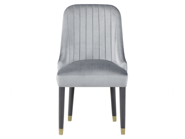 D01 Dining Chair