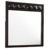 Carlton Dresser Mirror Cappuccino