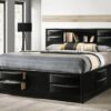 Briana Wood Eastern King Storage Bookcase Bed Black