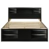 Briana Wood Eastern King Storage Bookcase Bed Black