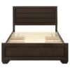 Kauffman Wood Queen Storage Panel Bed Dark Cocoa