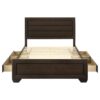 Kauffman Wood Queen Storage Panel Bed Dark Cocoa