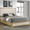 Hyland Wood Queen LED Panel Bed Natural and White