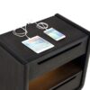 Leandro 2-drawer LED Nightstand with USB Burnished Black