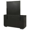 Leandro 8-drawer Bedroom Dresser with Mirror Burnished Black