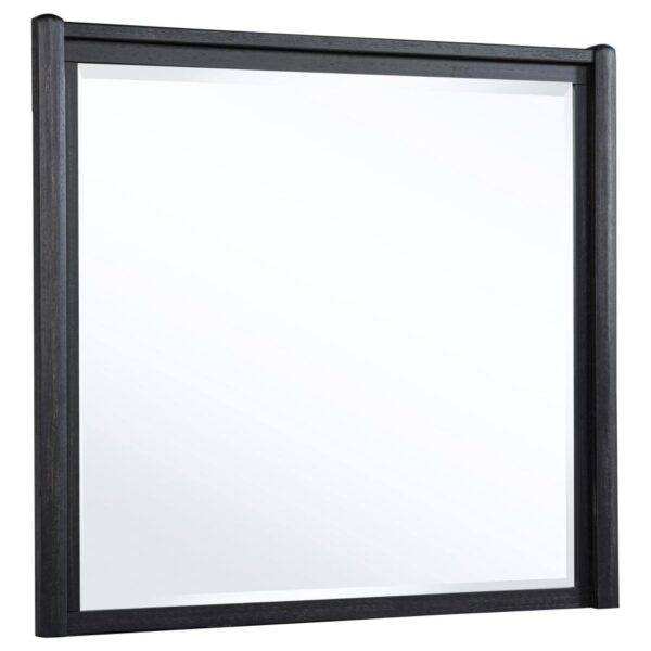Leandro Dresser Mirror Burnished Black