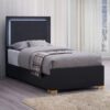 Marceline Wood Twin LED Panel Bed Black