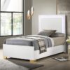 Marceline Wood Twin LED Panel Bed White