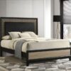 Valencia Wood Eastern King Panel Bed Black