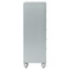 Gunnison 5-drawer Bedroom Chest Silver Metallic