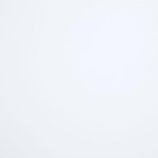 Bexhill 56-inch Upholstered Queen Panel Bed White