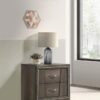 Janine 2-drawer Nightstand Bedside Table Grey