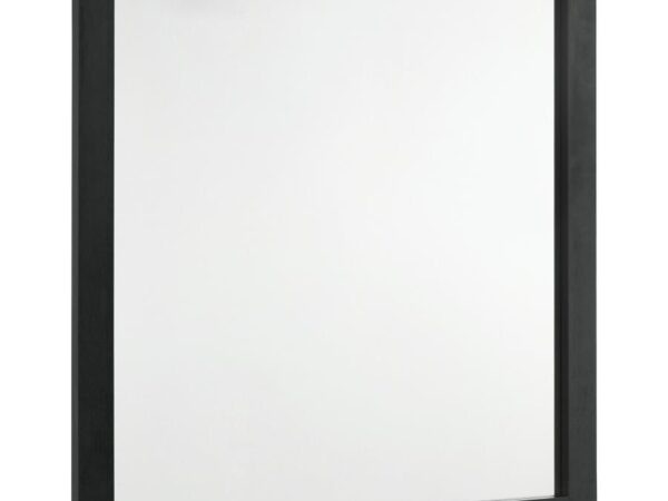 Cavelle Dresser Mirror Black