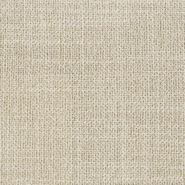 Arini 56-inch Queen Panel Bed Cream and Black