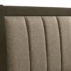 Wilkes 51-inch Upholstered Eastern King Bed Dark Cocoa